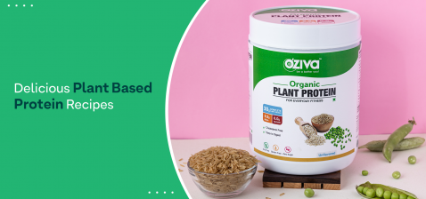 plant protein