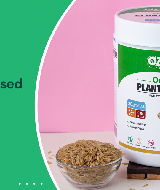 plant protein