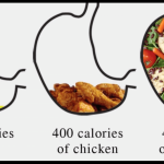 Carbohydrate vs. Protein vs. Fat for Weight Loss