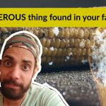 maltodextrin side effects