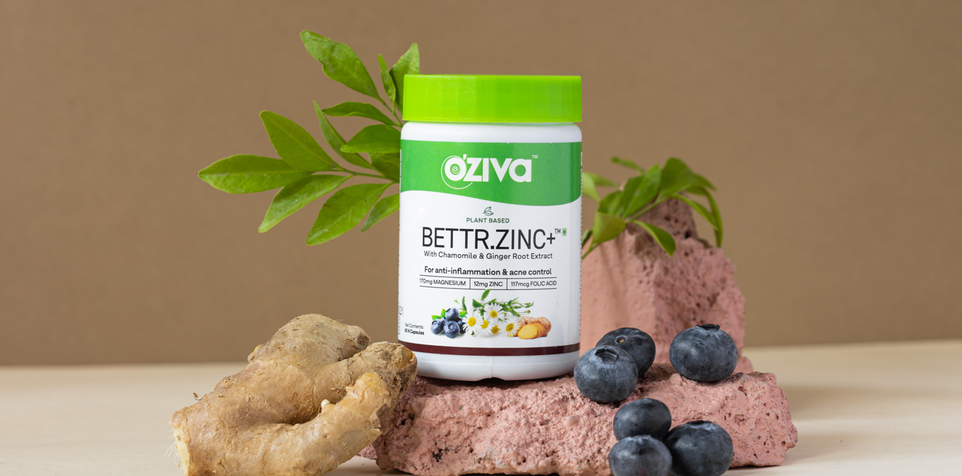 Zinc-Supplements-Plant-Based-vs-Synthetic-Which-is-Better