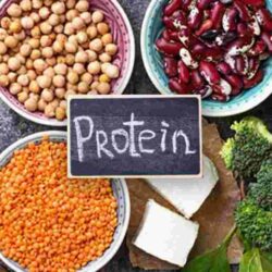 What Should Be The Protein Diet Plan For Weight Loss?
