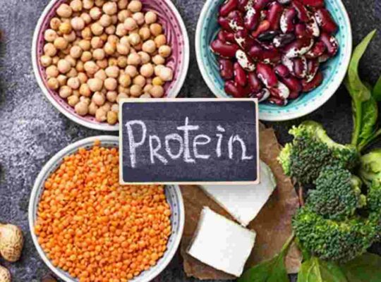 Protein Diet Plan For Weight Loss