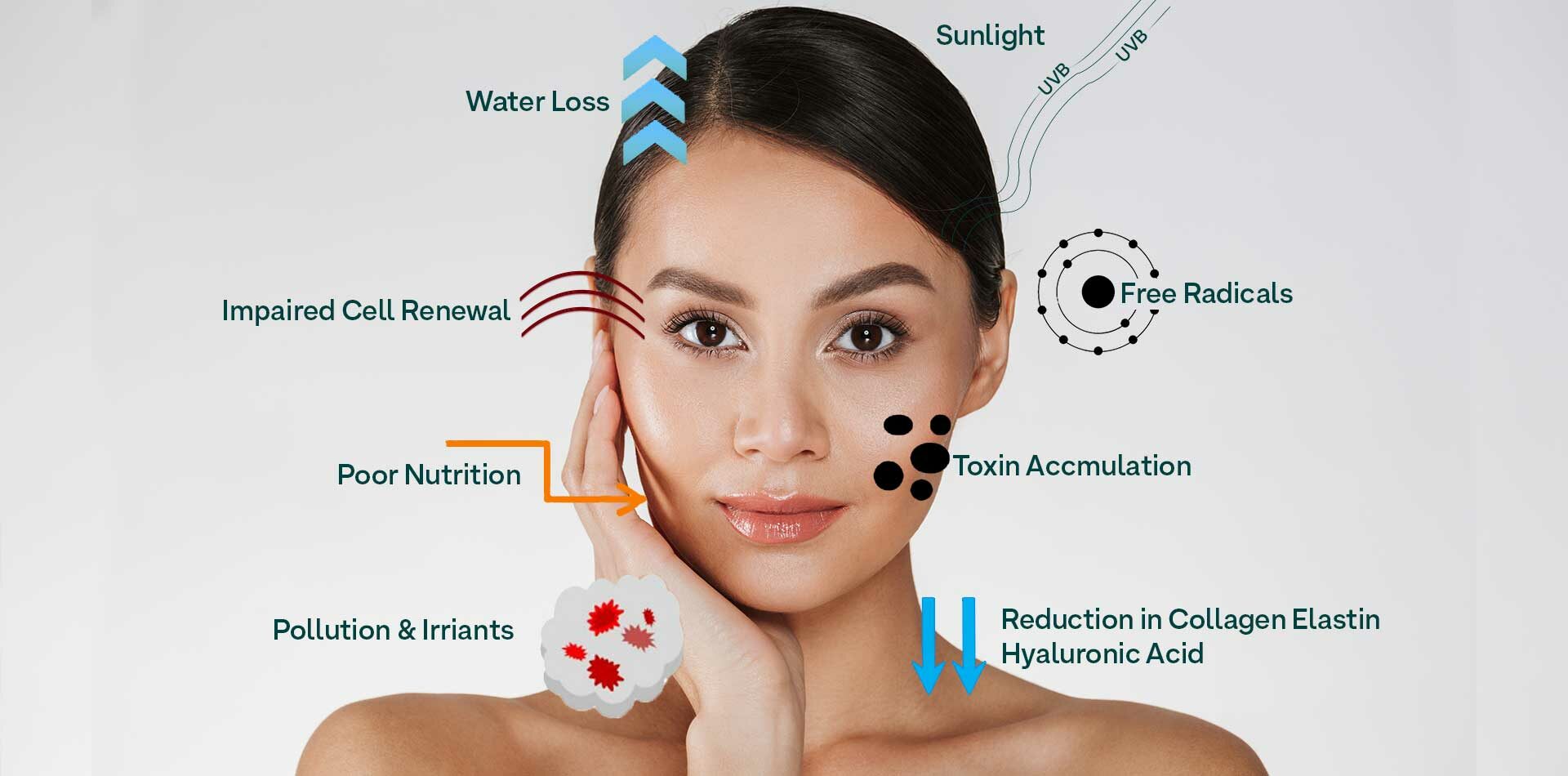 Signs of Ageing & the Process of Anti-Ageing