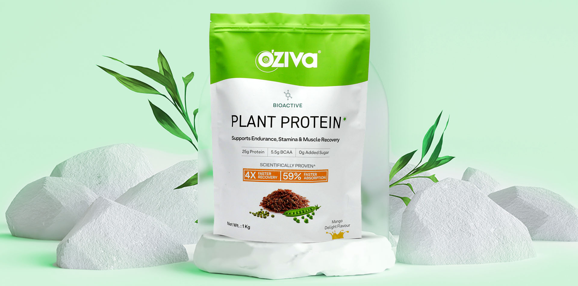 plant protein