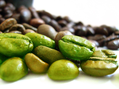 green coffee for weight loss