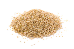 quinoa plant protein